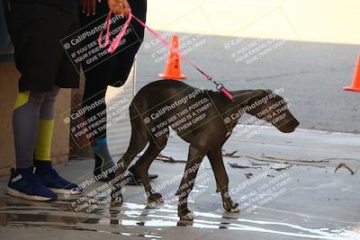 media/May-08-2023-Lets Ride (Mon) [[afc23fd900]]/Around the Pits/